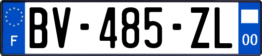 BV-485-ZL