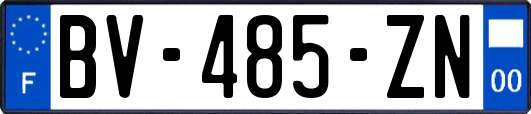 BV-485-ZN