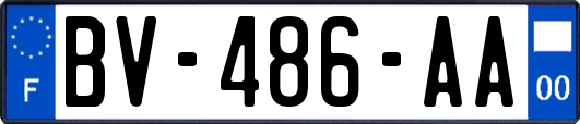 BV-486-AA