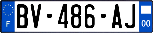 BV-486-AJ