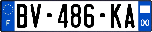 BV-486-KA