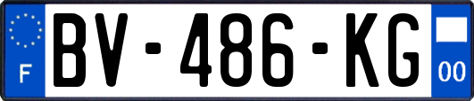 BV-486-KG
