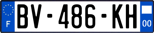 BV-486-KH