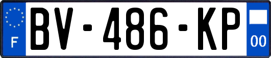 BV-486-KP