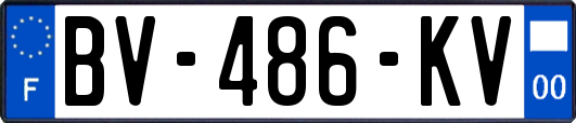 BV-486-KV