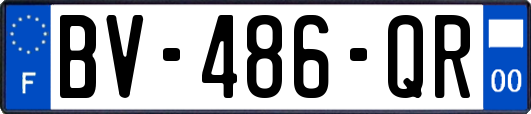 BV-486-QR