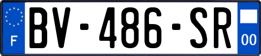 BV-486-SR