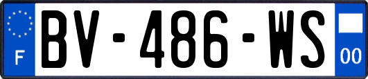 BV-486-WS