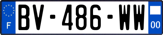 BV-486-WW