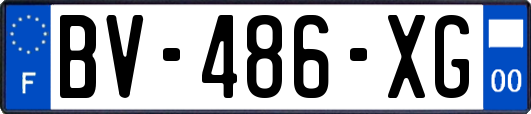 BV-486-XG