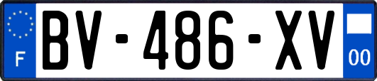 BV-486-XV