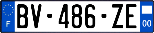 BV-486-ZE