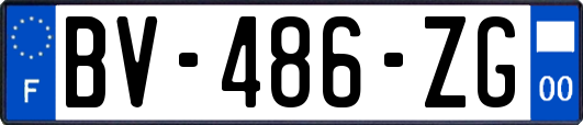 BV-486-ZG