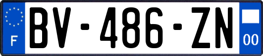 BV-486-ZN