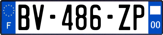 BV-486-ZP