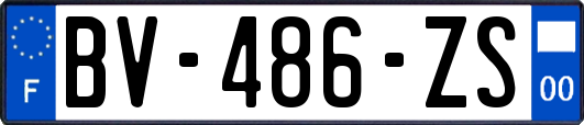 BV-486-ZS