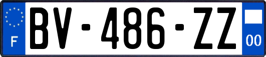 BV-486-ZZ