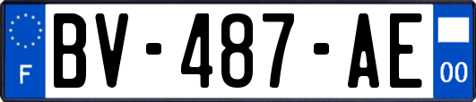 BV-487-AE