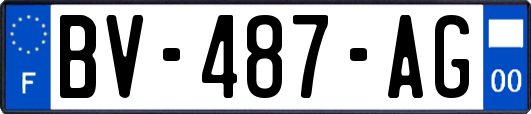 BV-487-AG