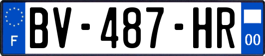 BV-487-HR