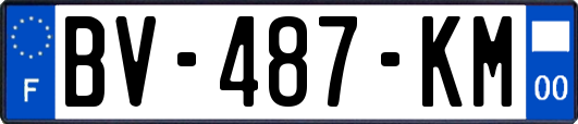 BV-487-KM