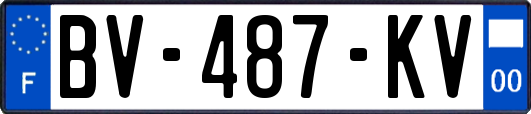 BV-487-KV