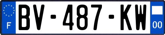 BV-487-KW