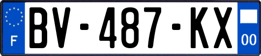 BV-487-KX