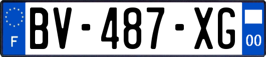 BV-487-XG