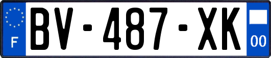 BV-487-XK