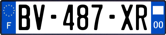 BV-487-XR