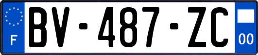 BV-487-ZC