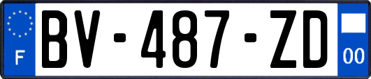 BV-487-ZD