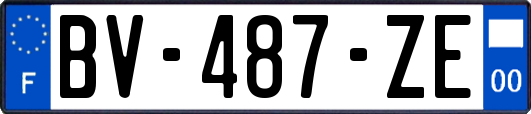 BV-487-ZE