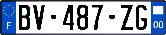 BV-487-ZG