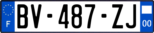 BV-487-ZJ