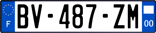 BV-487-ZM