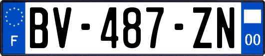 BV-487-ZN