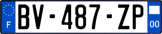 BV-487-ZP