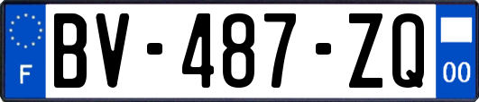 BV-487-ZQ