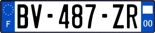 BV-487-ZR