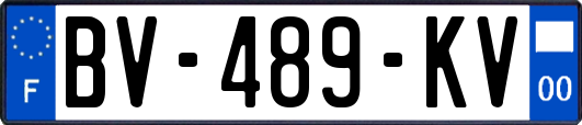 BV-489-KV