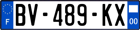 BV-489-KX