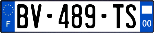 BV-489-TS