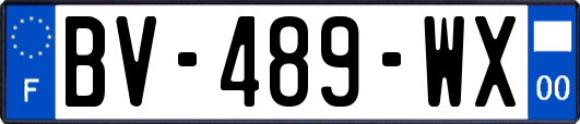 BV-489-WX