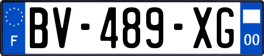 BV-489-XG