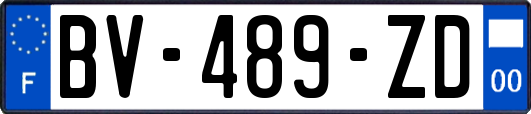 BV-489-ZD