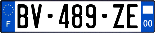 BV-489-ZE