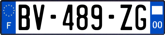 BV-489-ZG