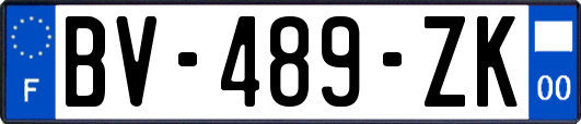 BV-489-ZK